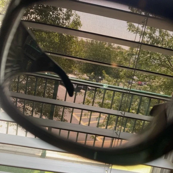 COPY black butterflies  Men's Sunglasses by Prada - Picture 6 of 11